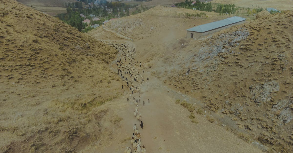 What farms do villagers recognize? - Aerial View of Grazing Animals What farms do villagers recognize? - Aerial View of Grazing Animals