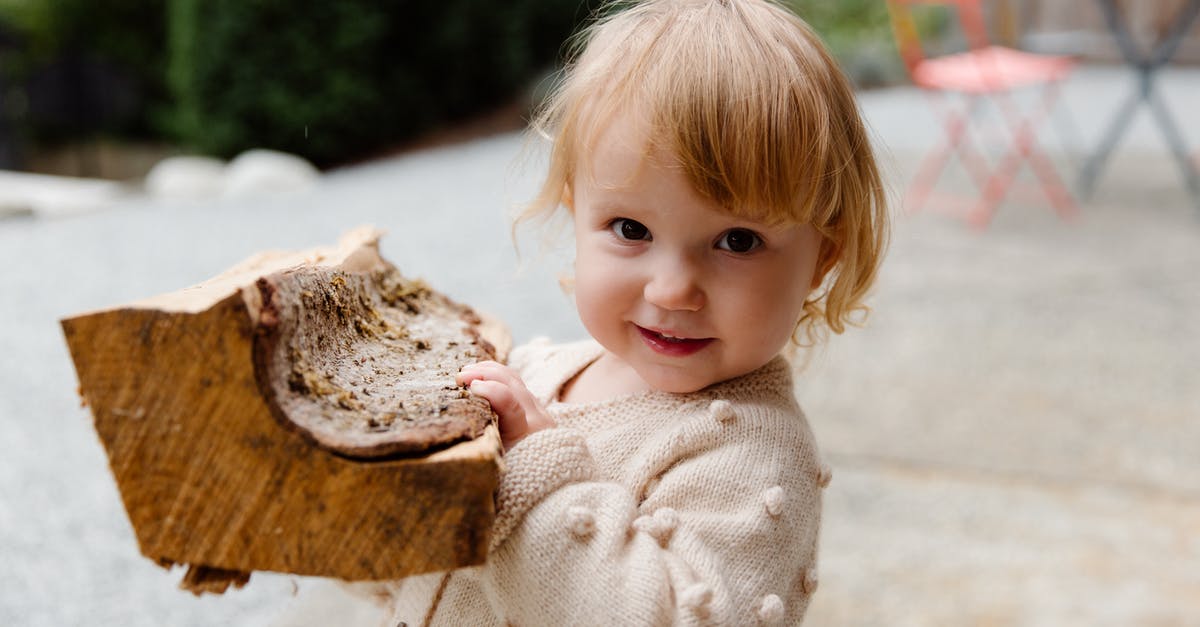 What game genre do these games fall into? - Happy little child with firewood in garden