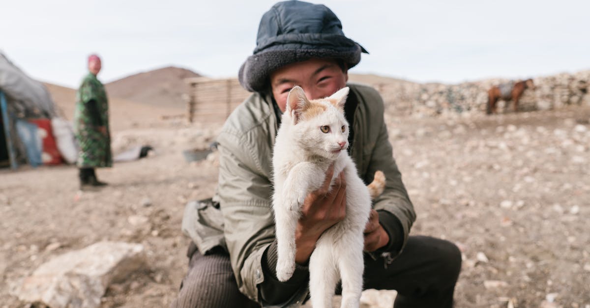 What game modes are available for local multiplayer? - Cheerful Mongolian boy in hat squatting and holding cat near ger What game modes are available for local multiplayer? - Cheerful Mongolian boy in hat squatting and holding cat near ger