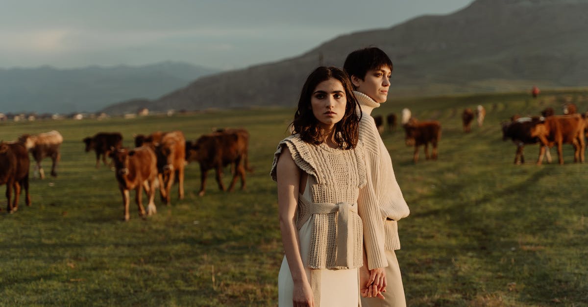 What happened to Nomad? - Free stock photo of adult, cattle, caucasus What happened to Nomad? - Free stock photo of adult, cattle, caucasus