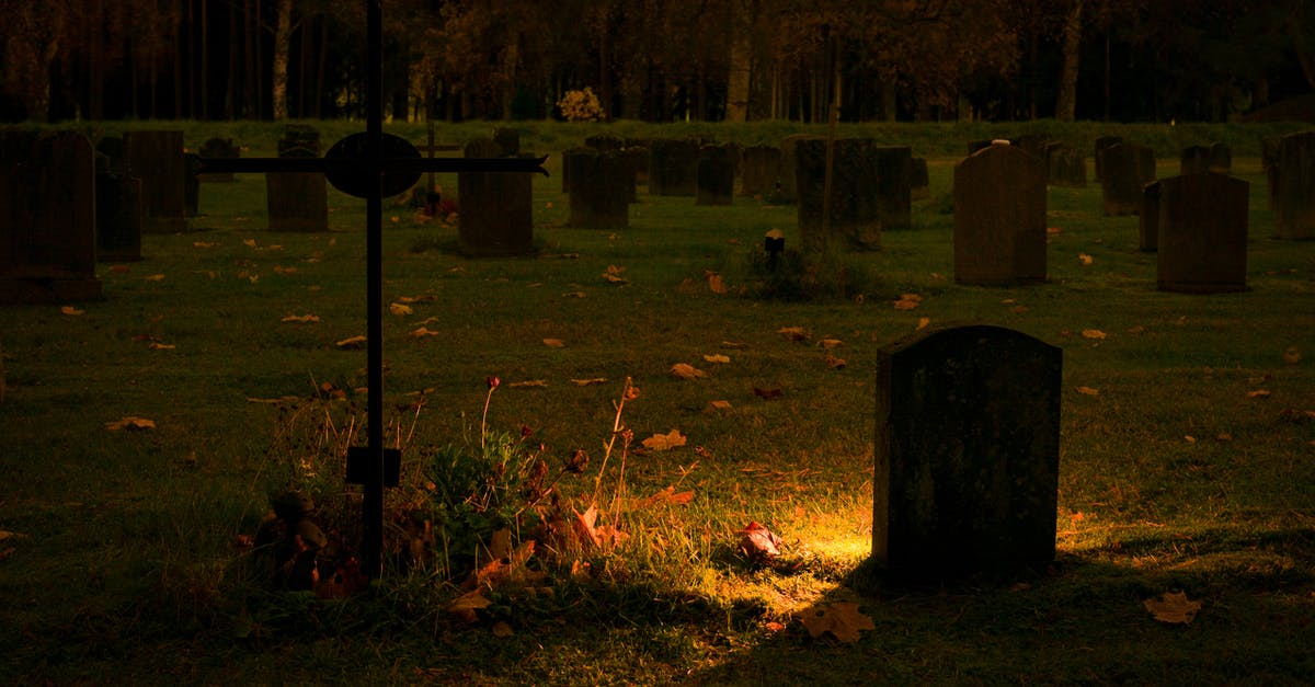 What happened to Prime Elizabeth after Burial at Sea? - Silhouette of Graves What happened to Prime Elizabeth after Burial at Sea? - Silhouette of Graves