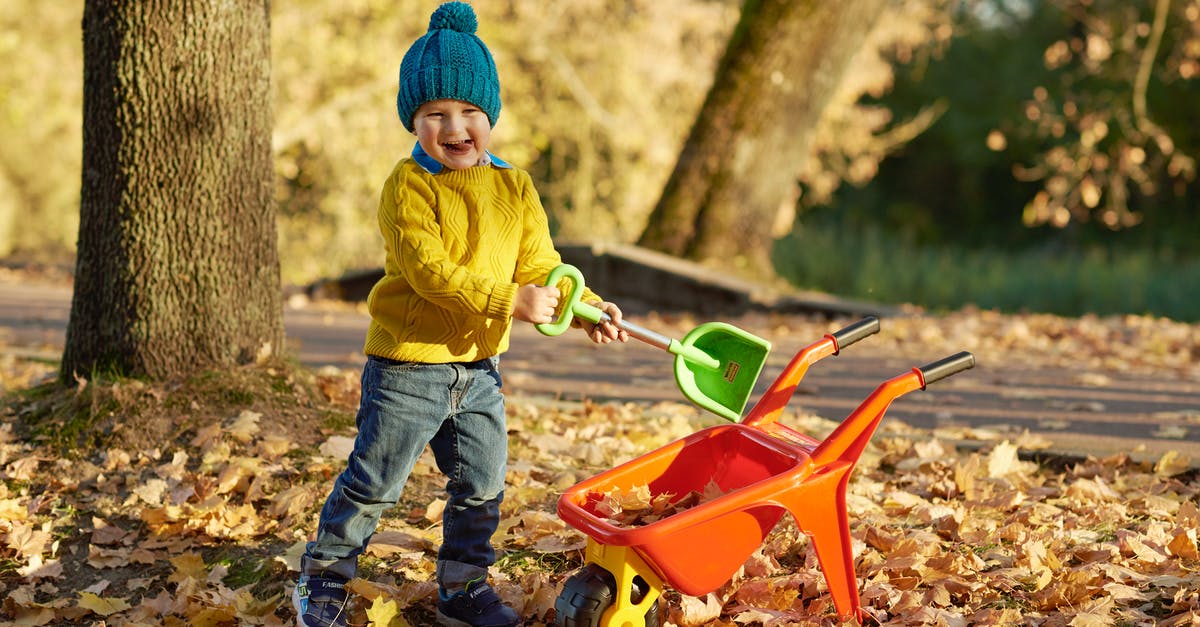 What happened to Shovel Knight in Spectre of Torment? - Child in Yellow Hoodie and Blue Denim Jeans Standing on Red and Yellow Plastic Wagon during