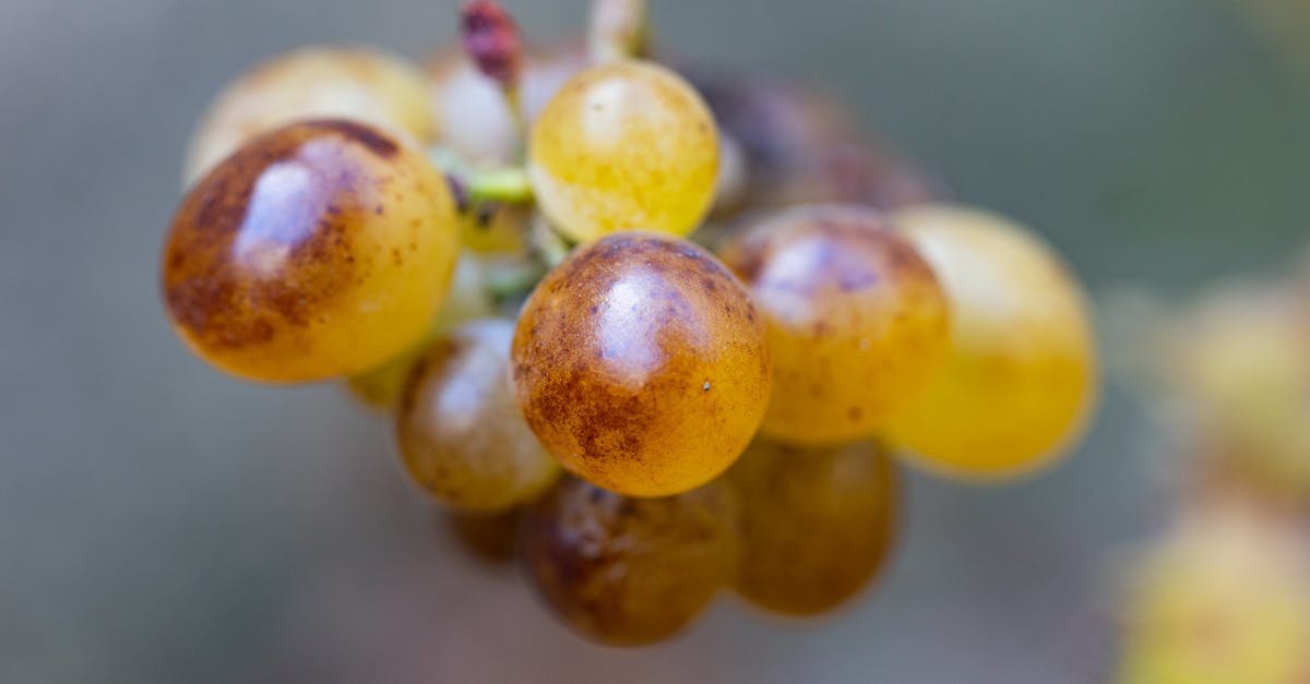 What happens after round 7? - bunch of grapes