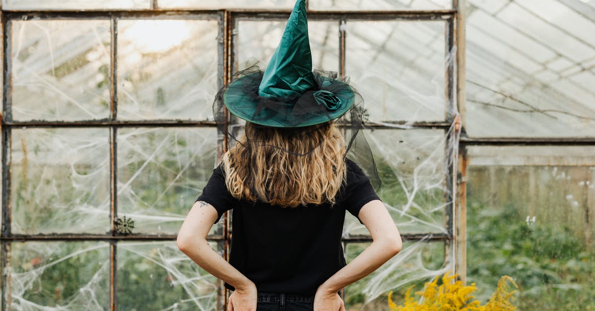 What happens if a witch makes a veteran go on alert? - Woman in Black Shirt Wearing Green Hat Standing Near Yellow Flowers What happens if a witch makes a veteran go on alert? - Woman in Black Shirt Wearing Green Hat Standing Near Yellow Flowers
