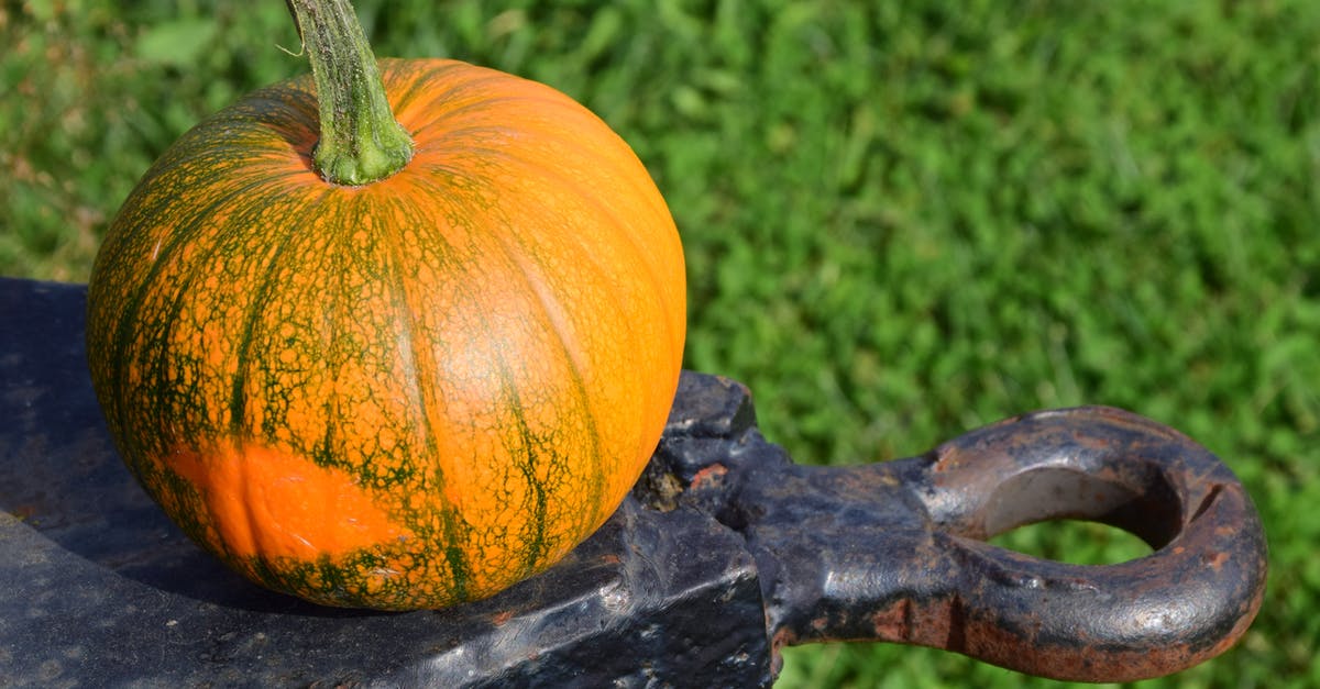 What happens if everybody dies on a survival round in Fall Guys? - Orange Squash on Black Surface What happens if everybody dies on a survival round in Fall Guys? - Orange Squash on Black Surface