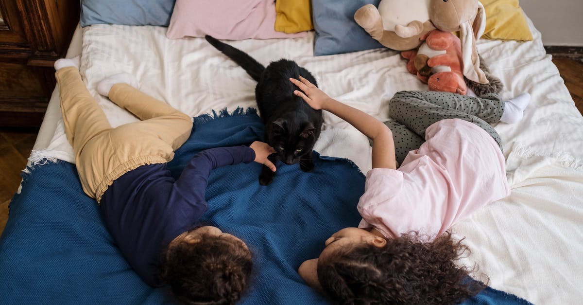 What happens if i leave the Switch in sleep mode for a long time (at least 1 day) and continue playing? - Kids Lying On Bed with Black Cat