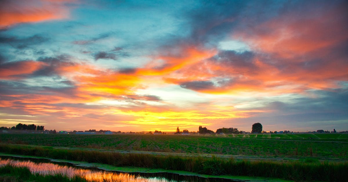 What happens if I save my fields for next summer in Puzzle Craft? - Green Grass Under Dramatic Sky What happens if I save my fields for next summer in Puzzle Craft? - Green Grass Under Dramatic Sky