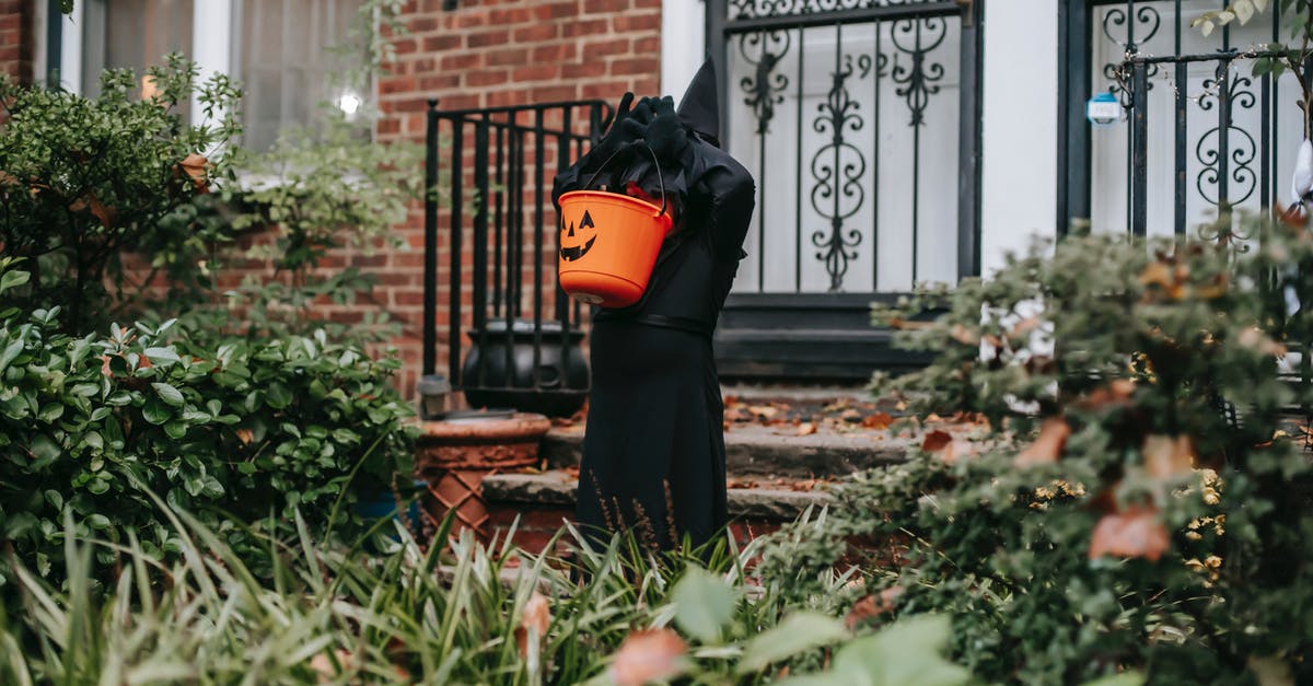 What happens if Kezan Mystic is played after Snipe? - Girl in witch costume carrying Jack o Lantern bucket