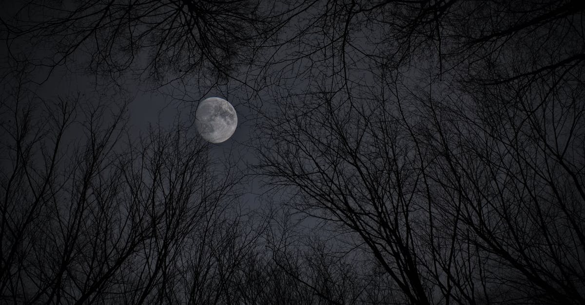 What happens if Kezan Mystic is played after Snipe? - White moon in gray sky with trees