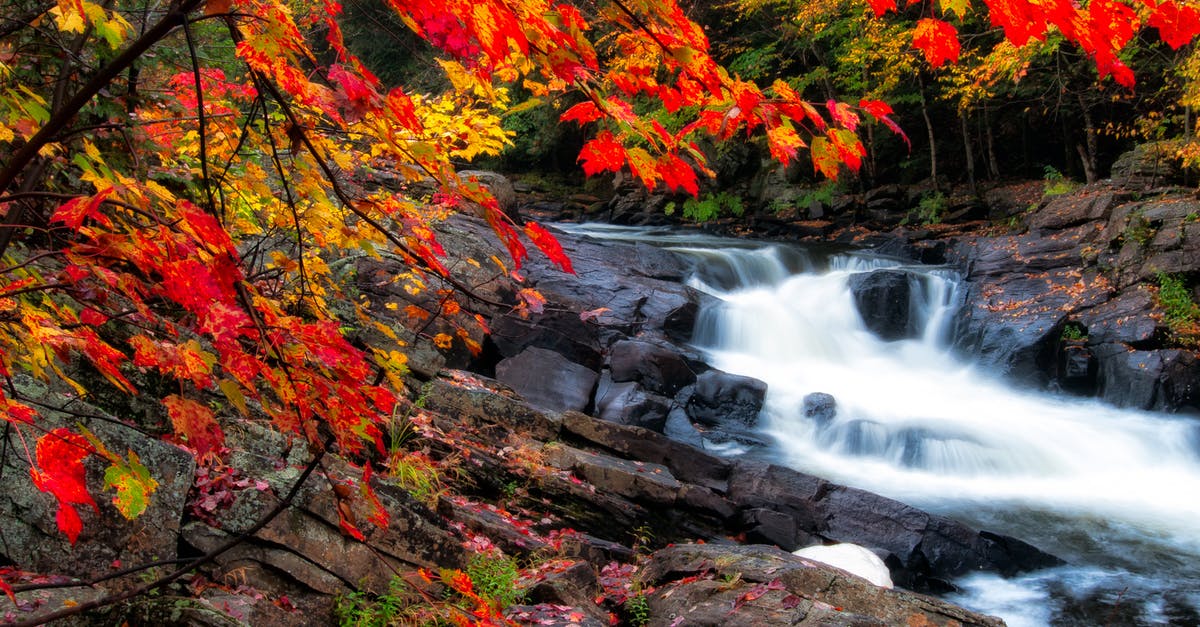 What happens if the ender pearl falls into the Void? - Photo of Waterfalls During Fall Season