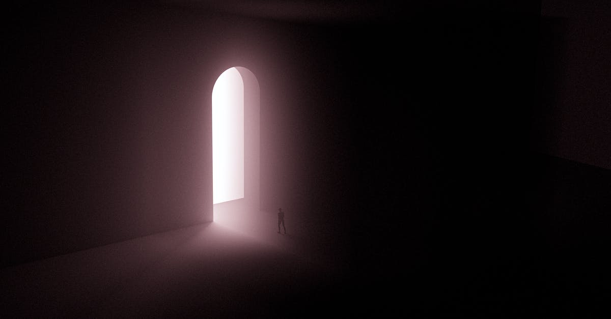 What happens if you enter an alliance with the Papacy? - Silhouette of Person Standing Near A Doorway With Bright Light What happens if you enter an alliance with the Papacy? - Silhouette of Person Standing Near A Doorway With Bright Light