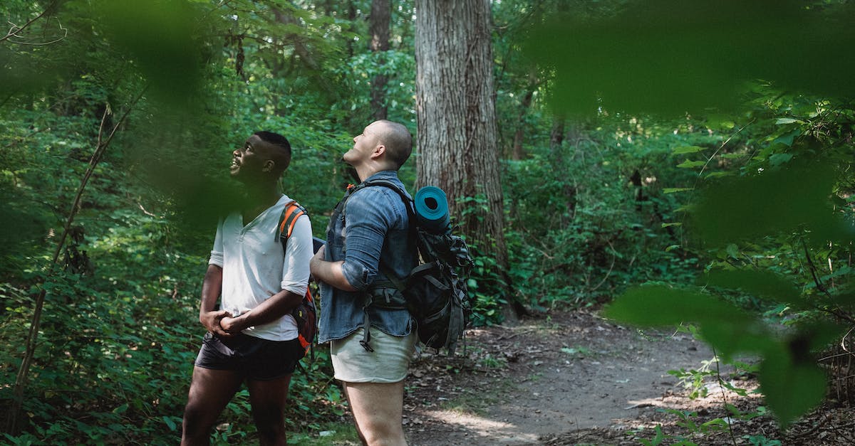 What happens if you take the watch in The Walking Dead Game Season 2? - Diverse people with backpacks admiring peaceful trees with green leaves while standing on path in soft focus
