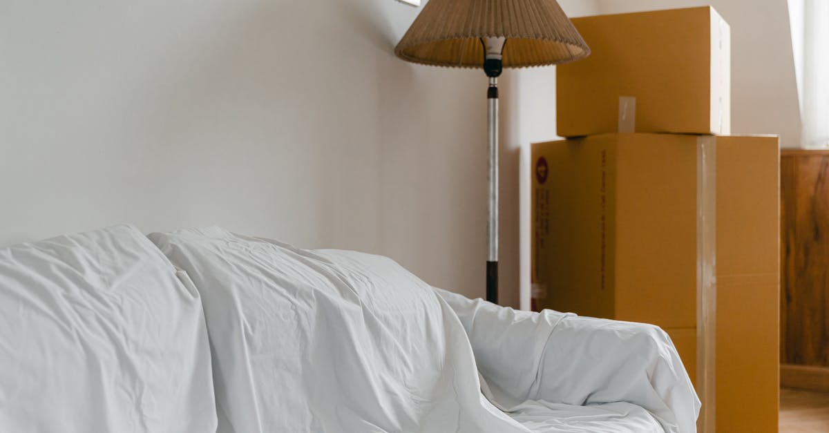 What happens to Dying Light when the obsession changes? - Covered with sheet sofa and floor lamp and packed cardboard boxes in light spacious room of new contemporary house What happens to Dying Light when the obsession changes? - Covered with sheet sofa and floor lamp and packed cardboard boxes in light spacious room of new contemporary house