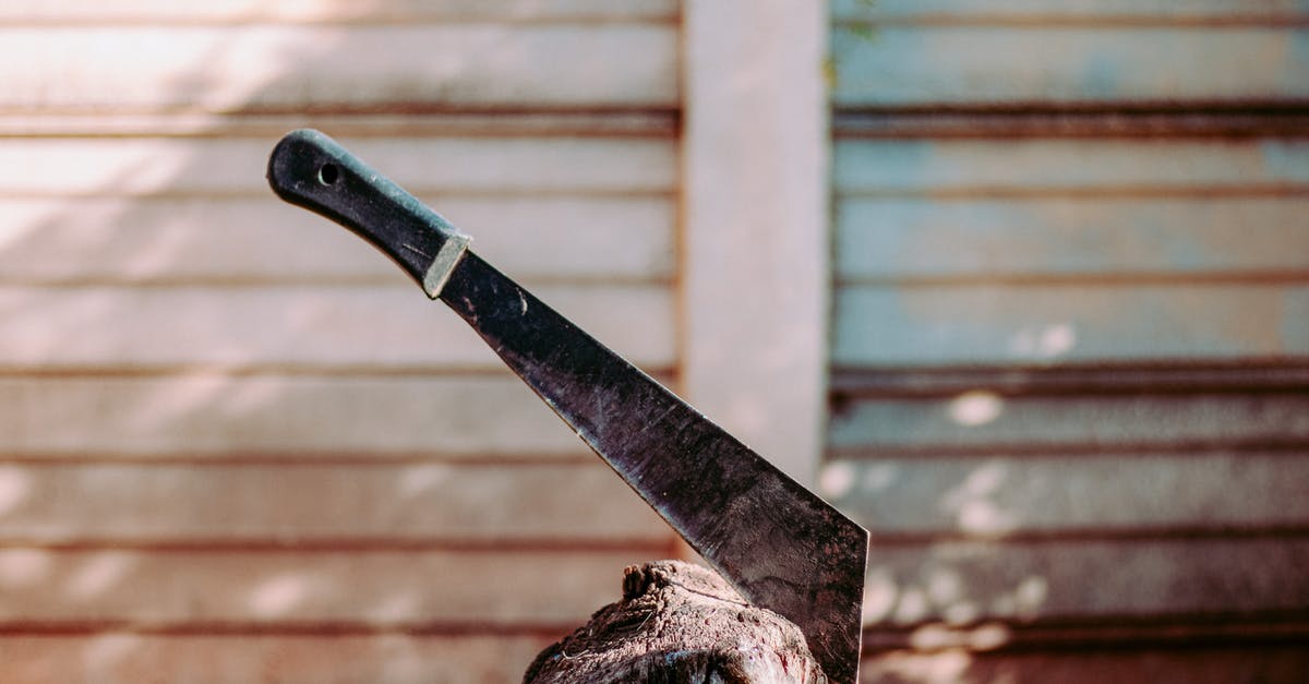 What happens to my Darkmoon Blade spell if I kill Gwyndolin? - Black Handle Knife on Brown Wooden Log