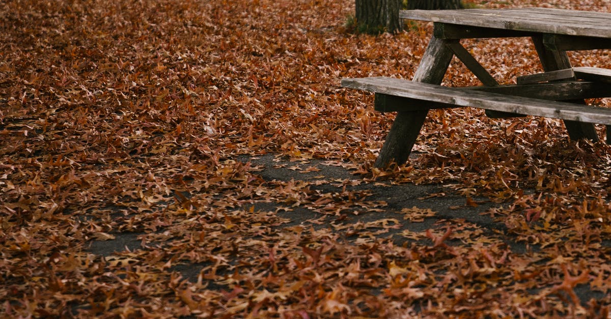 What happens to settlements if I leave them empty or unoccupied? - Empty wooden bench placed in autumn park