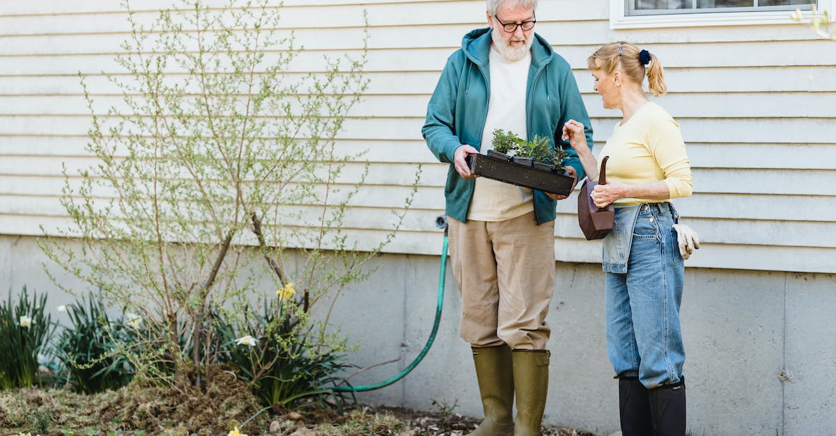 What happens when my box is full? - Full length of senior male showing box with seedlings to wife while standing near wooden house in rain boots