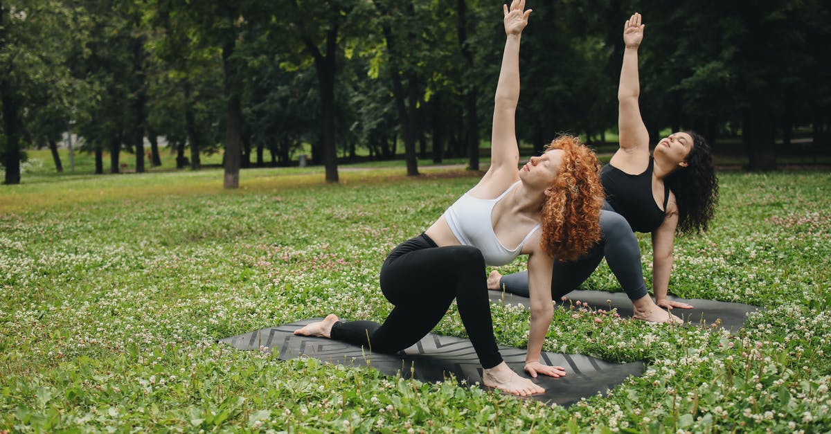 What happens when my Dota Plus subscription ends? - Free stock photo of beautiful, exercise, fitness