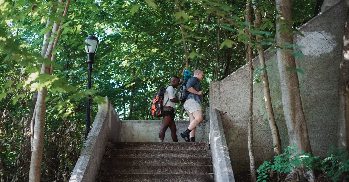 What happens when you get items for leveling up but your backpack is already full? [duplicate] - Side view of active multiracial travelers walking upstairs in green park in sunny day