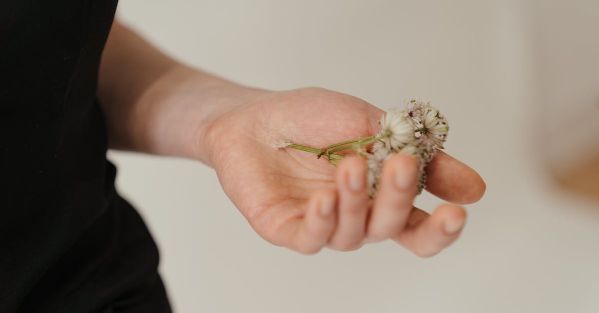 What is a druid combo deck? - Person Holding Gold and Silver Flower