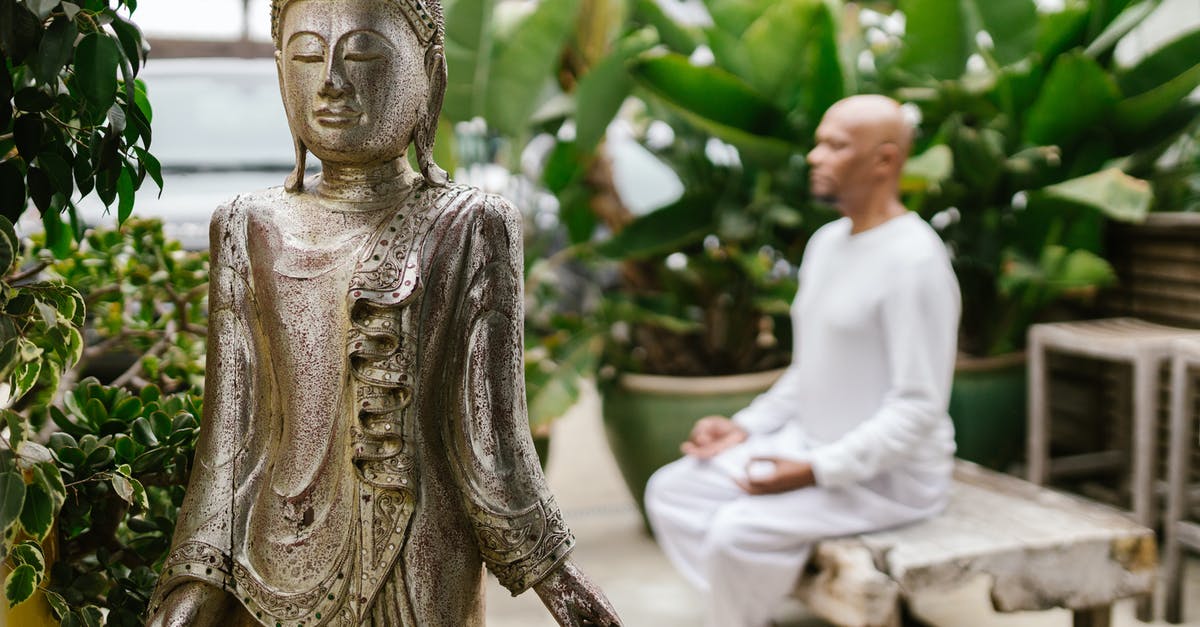 What is a Silver Statue good for? - A Man Meditating in the Garden