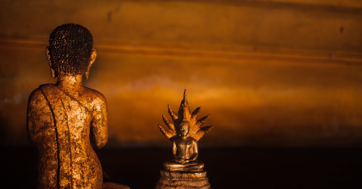What is Aegir Gold used for? - Gold Buddha Figurine on Brown Wooden Table
