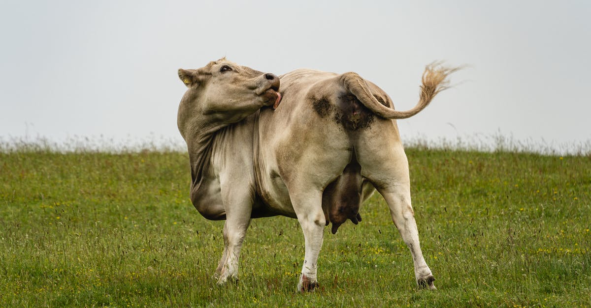 What is an easy experience farm in Pokémon Omega Ruby and Alpha Sapphire? - Licking Cow What is an easy experience farm in Pokémon Omega Ruby and Alpha Sapphire? - Licking Cow