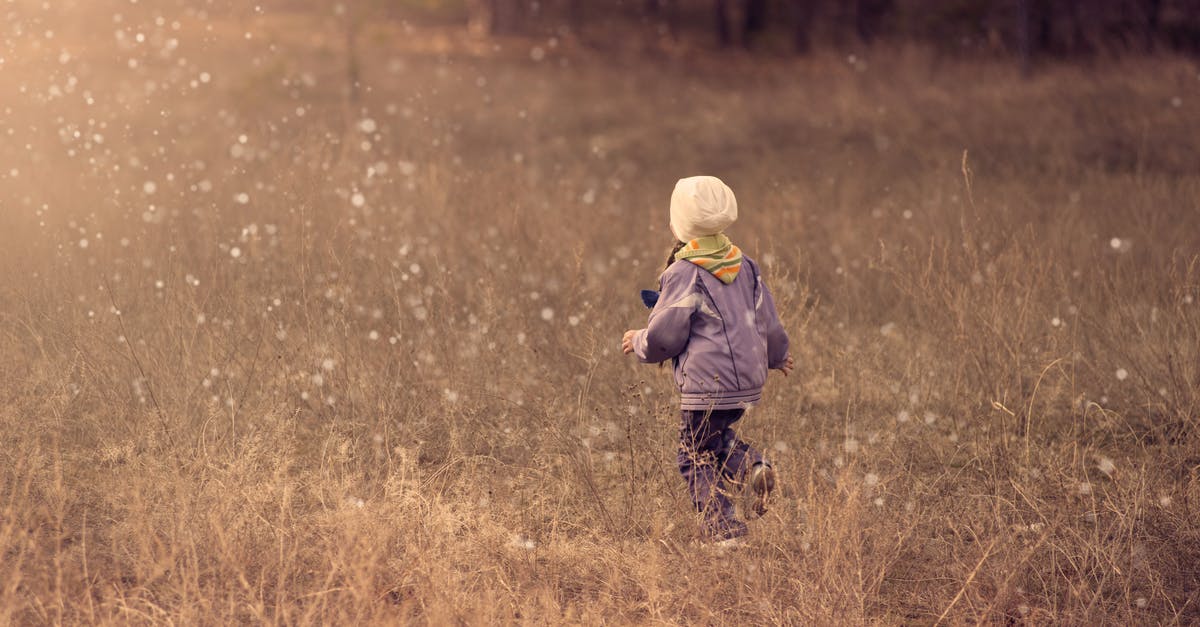 What is blocked when playing the free version of FF14? - Child Walking on Grass Path What is blocked when playing the free version of FF14? - Child Walking on Grass Path