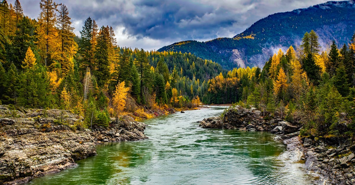What is considered 'extreme ranges' for McCrees fall off damage? - Pine Trees by Lake in Forest Against Sky What is considered 'extreme ranges' for McCrees fall off damage? - Pine Trees by Lake in Forest Against Sky