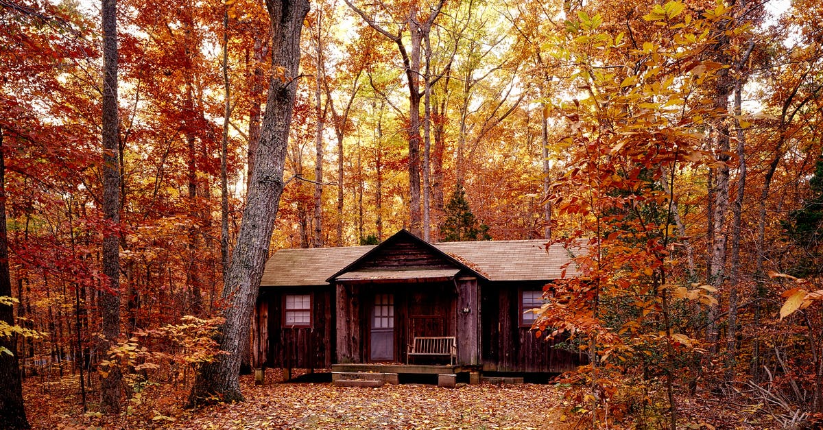 What is considered 'extreme ranges' for McCrees fall off damage? - Brown Wooden House on Orange Leaf Trees What is considered 'extreme ranges' for McCrees fall off damage? - Brown Wooden House on Orange Leaf Trees