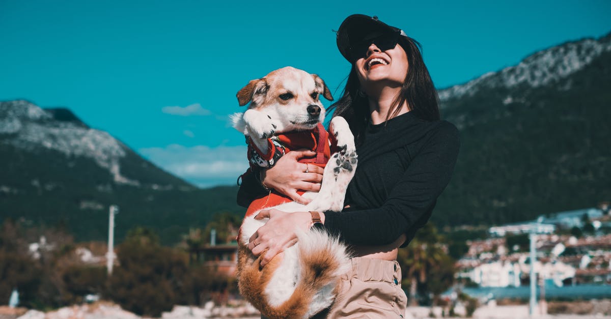 What is the best companion for getting maximum carrying capacity? [duplicate] - Photo of a Woman in a Black Top Carrying Her White and Brown Dog