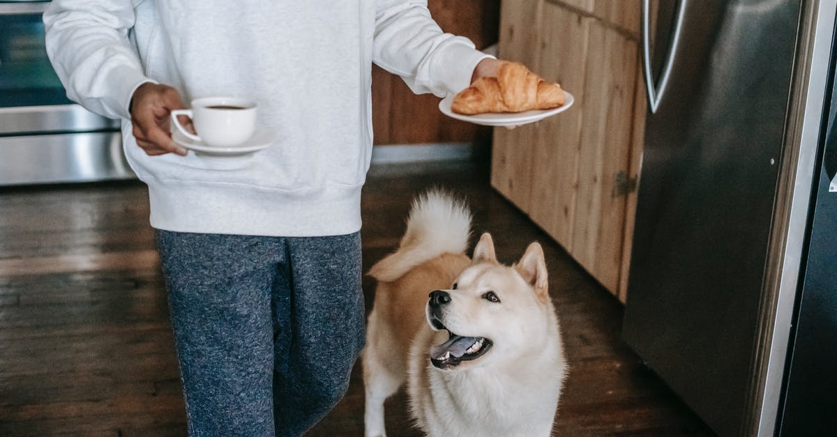 What is the best companion for getting maximum carrying capacity? [duplicate] - Crop faceless young male owner in casual clothes walking in kitchen near curious Akita Inu dog with coffee cup and plate with croissant in hands