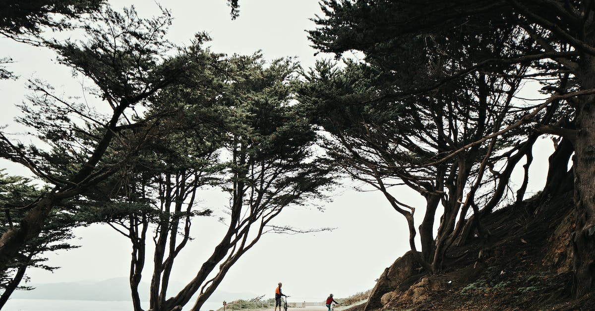 What is the best way to keep bonus chains active? - People riding bicycles along pathway near seaside