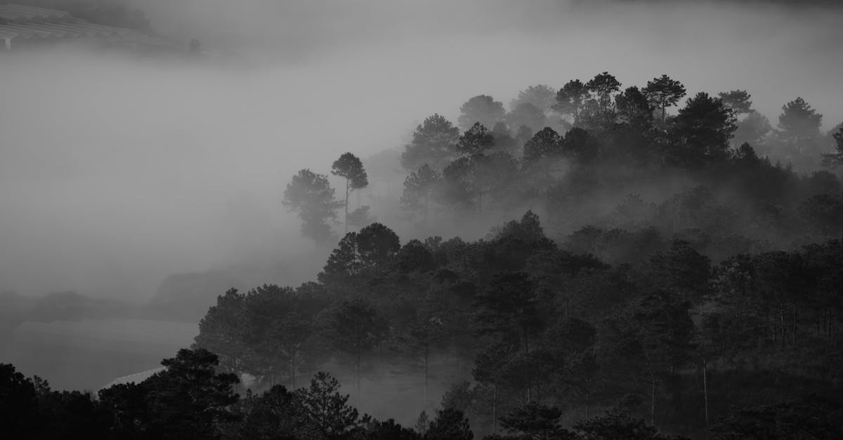 What is the black cloud that appears behind some of my characters? - Grayscale Photography of Trees