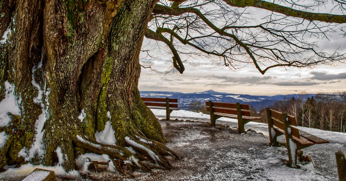 What is the blue aura around my Pokemon? - Picturesque view from top of hill with thick trunk of big leafless tree and wooden benches on blue faraway lowland under cloudy sky in evening What is the blue aura around my Pokemon? - Picturesque view from top of hill with thick trunk of big leafless tree and wooden benches on blue faraway lowland under cloudy sky in evening