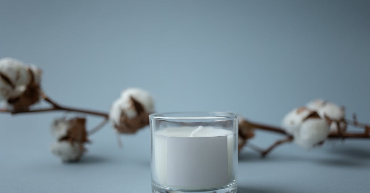 What is the blue candle buff/de buff? - Free stock photo of apple, bird, blur What is the blue candle buff/de buff? - Free stock photo of apple, bird, blur