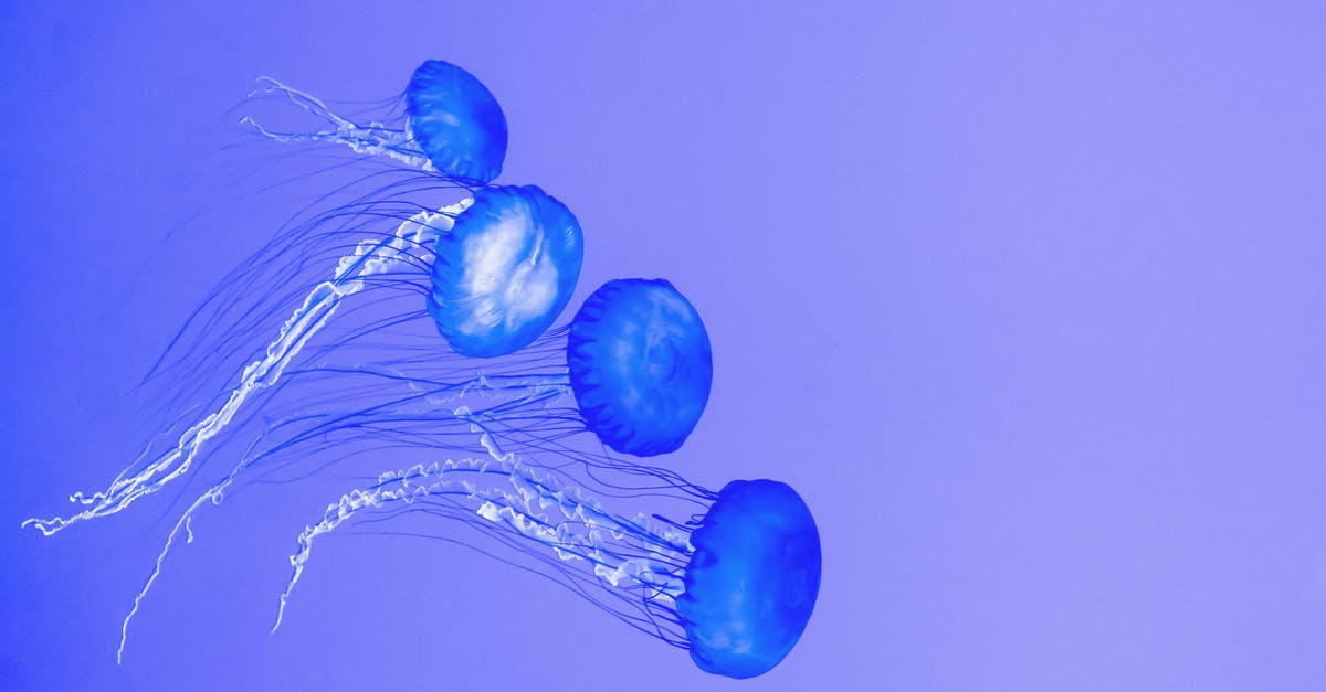 What is the Blue Debri that floats around? - Blue Jellyfish Illustration What is the Blue Debri that floats around? - Blue Jellyfish Illustration