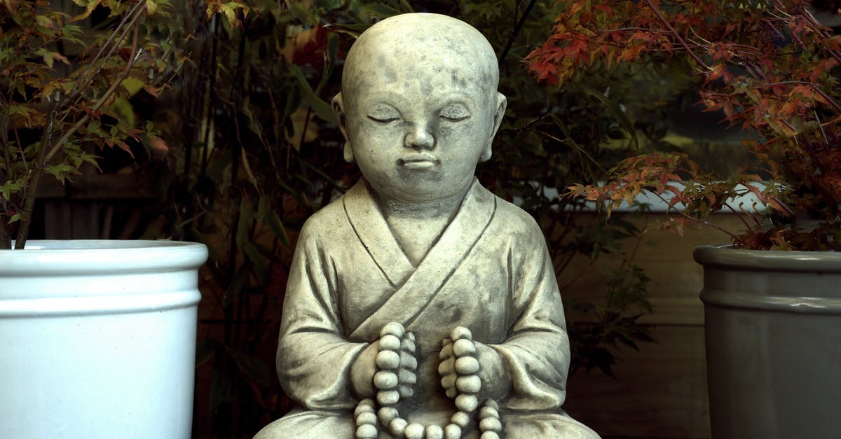 What is the chance of getting a zen garden plant? - Gray Monk Statue in Between Plant Pots