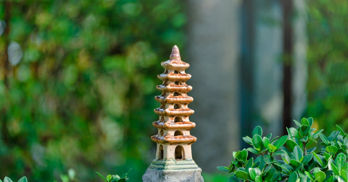 What is the chance of getting a zen garden plant? - Green Leaves