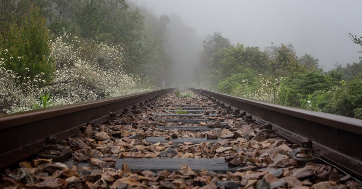 What is the chance of iron spawning at a particular level? - Brown and Black Train Rail