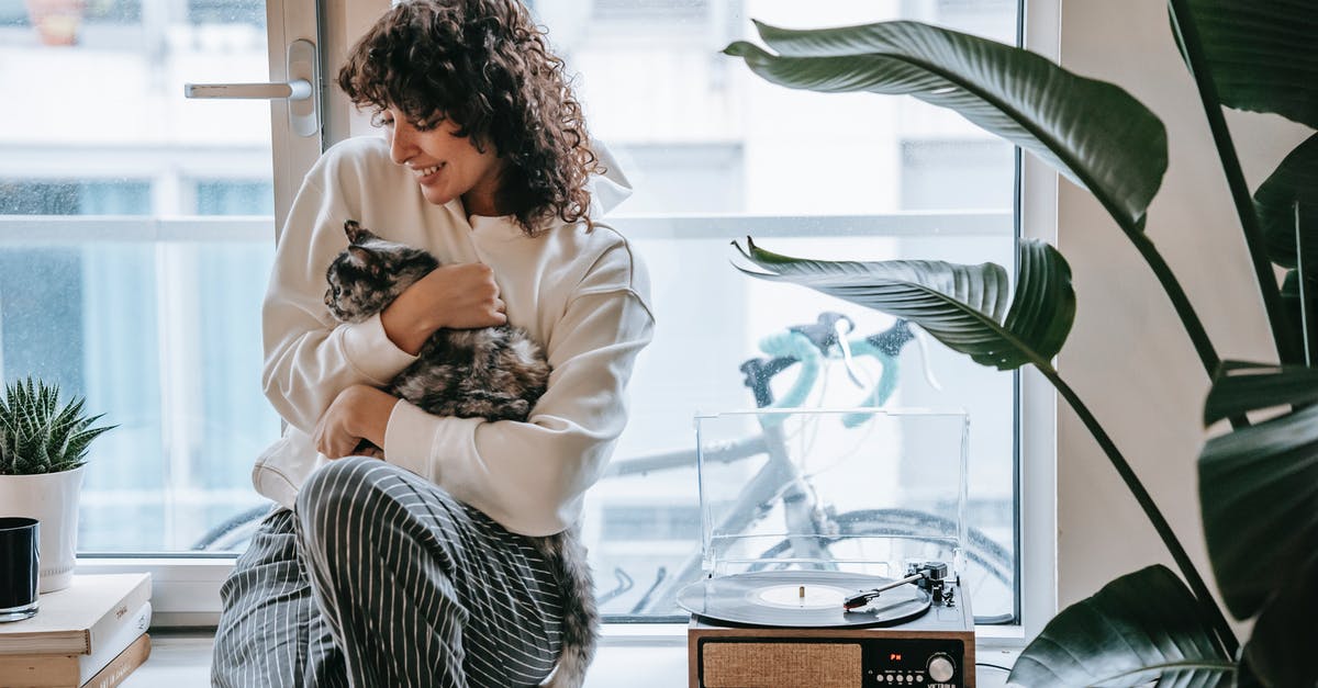 What is the chance to find a pokemon at a spot with green leaves? - Cheerful woman with cat on window with vintage turntable