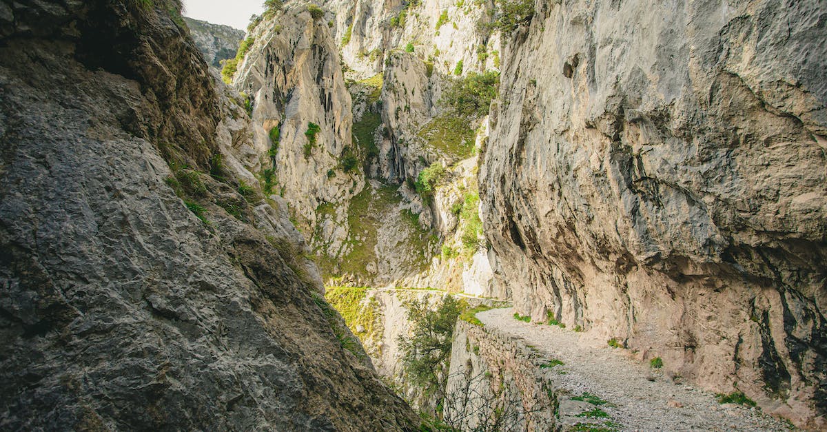 What is the correct path for Edge of the Forest? - Breathtaking landscape of dangerous narrow path going through edge of rocky cliff in picturesque canyon on sunny day What is the correct path for Edge of the Forest? - Breathtaking landscape of dangerous narrow path going through edge of rocky cliff in picturesque canyon on sunny day