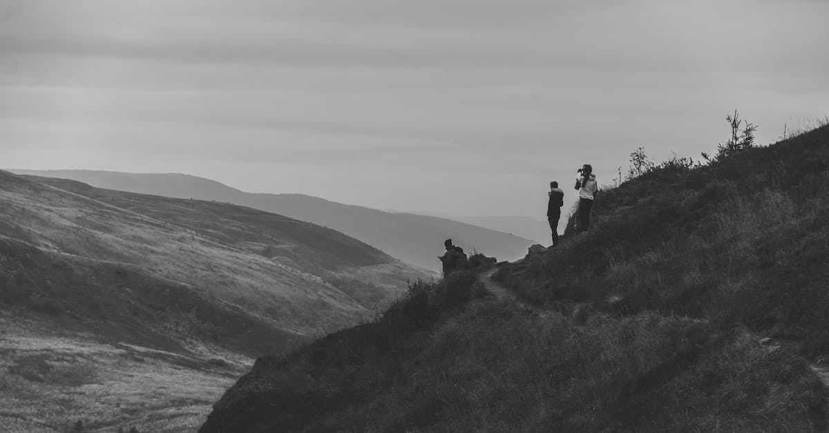 What is the correct path for Edge of the Forest? - Unrecognizable travelers on edge of hill What is the correct path for Edge of the Forest? - Unrecognizable travelers on edge of hill