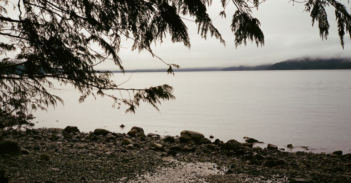 What is the cost per level progression in the game? - A Rocky Shore Beside Body of Water