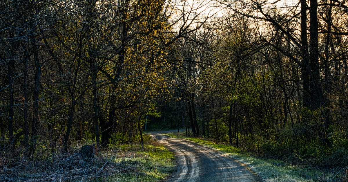 What is the difference between the Atlas path and the Explorer's path? - Curve Road Between Trees What is the difference between the Atlas path and the Explorer's path? - Curve Road Between Trees