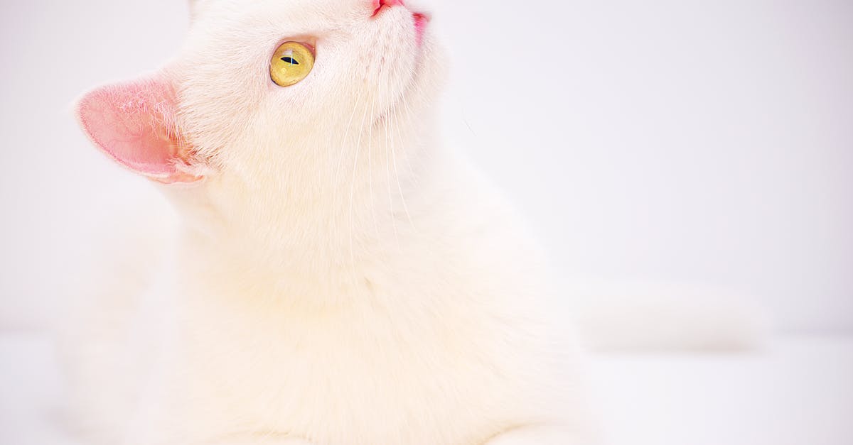 What is the difference between the yellow and blue movement alerts? - Odd-eyed White Cat What is the difference between the yellow and blue movement alerts? - Odd-eyed White Cat