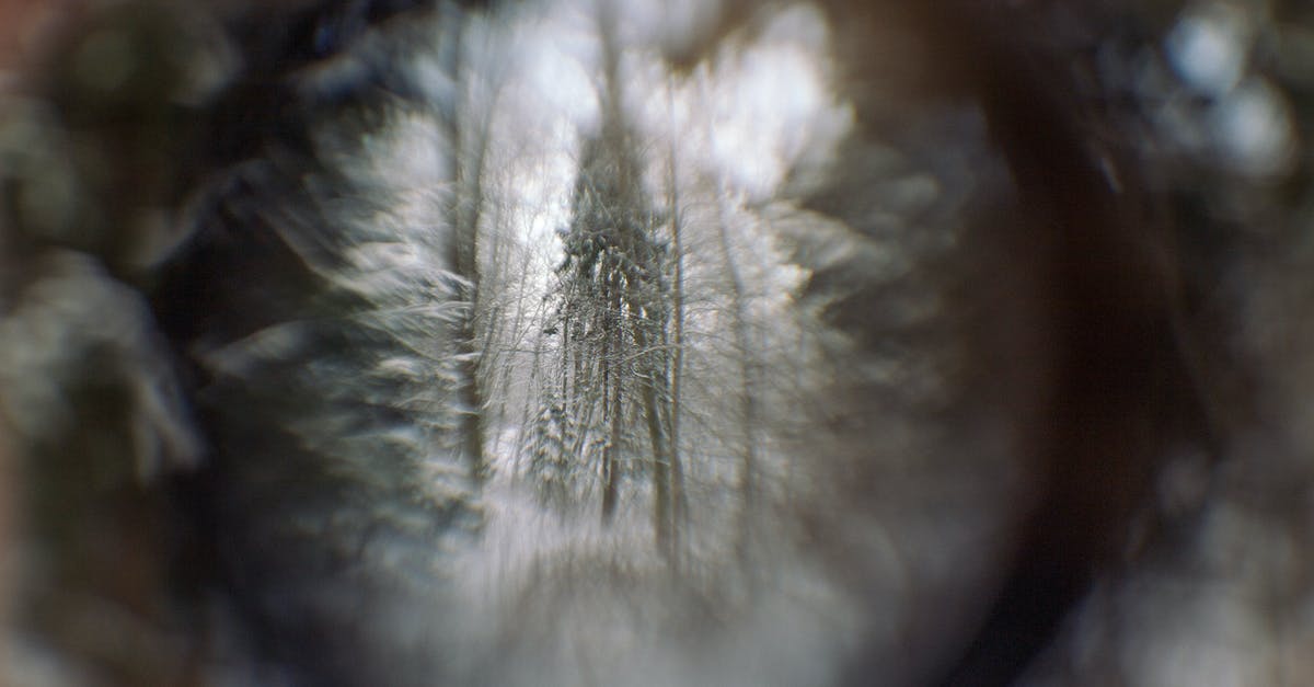 What is the duration of the effects that the mysterious serum gives? - Shiny eye with reflection of winter forest