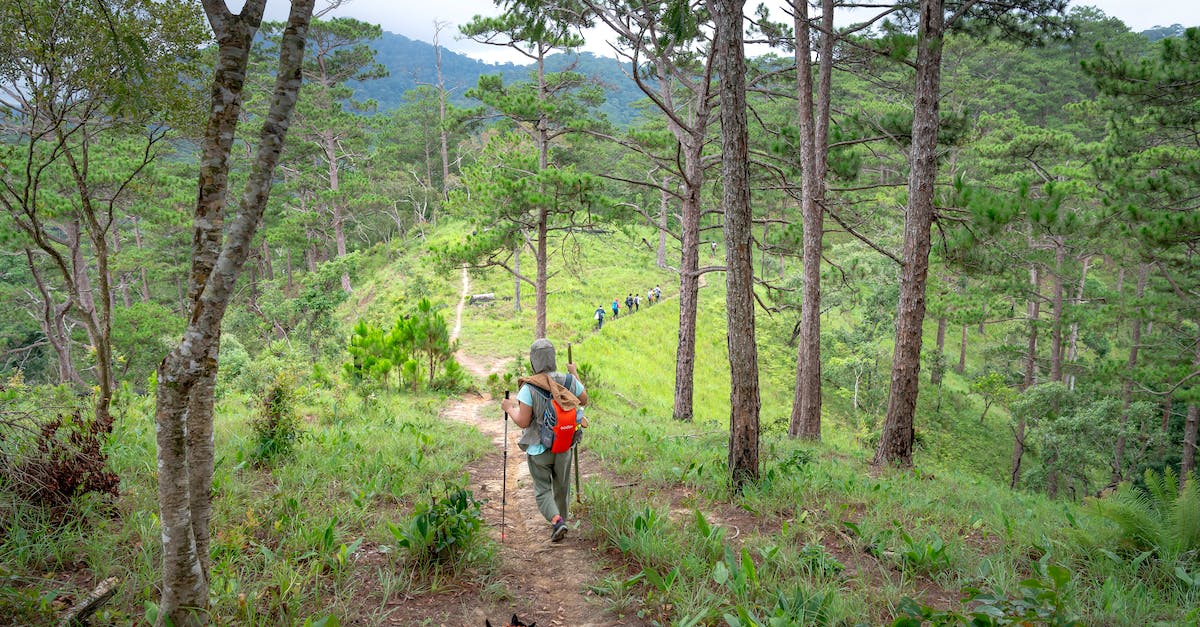 What is the easiest way to catch all the legendary pokemon? - Tourist with dog traveling on mountains What is the easiest way to catch all the legendary pokemon? - Tourist with dog traveling on mountains