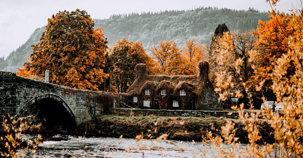 What is the effect of every button in the Gauntlet Bridge Puzzle of Dragon Age:Origins? - Bridge and Trees around River in Autumn What is the effect of every button in the Gauntlet Bridge Puzzle of Dragon Age:Origins? - Bridge and Trees around River in Autumn