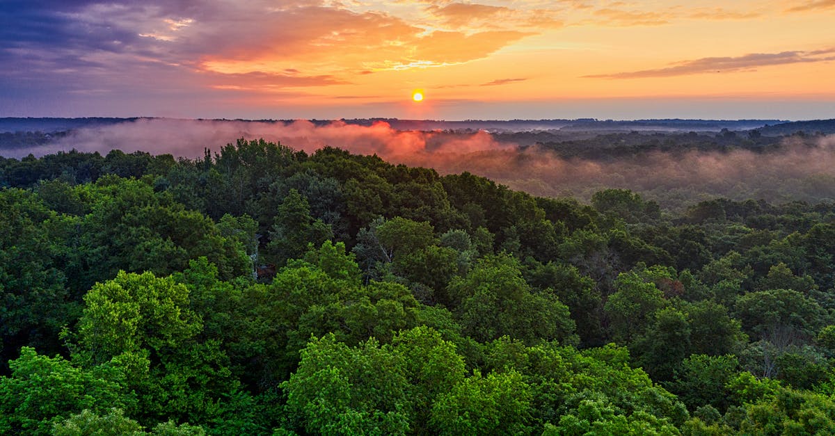 What is the explanation for the water scene? - Aerial Photography of Green-leafed Trees