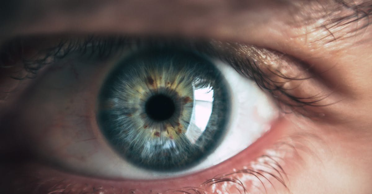 What is the eyeball icon over the troops in Rome 2 Total War? - Person Eye What is the eyeball icon over the troops in Rome 2 Total War? - Person Eye